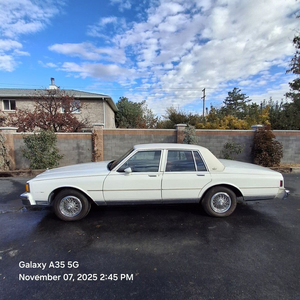 1984 CHEVROLET CAPRICE Classic