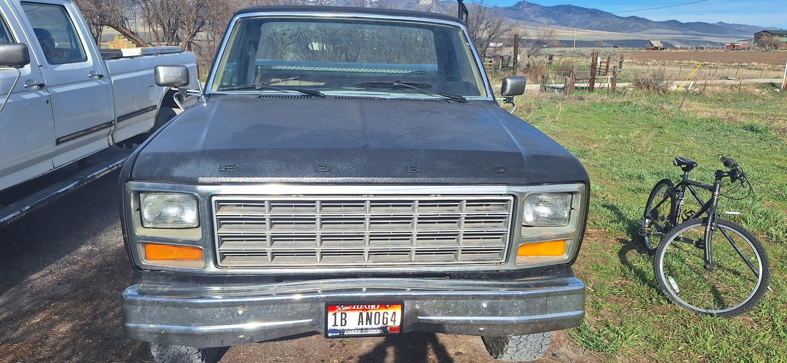 1981 Ford F-250
