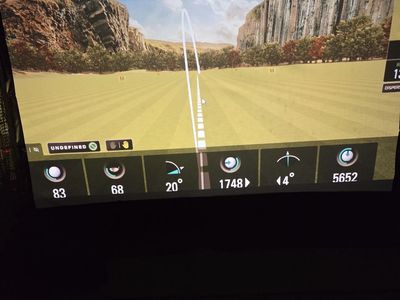 Golf ball impact screen/media screen