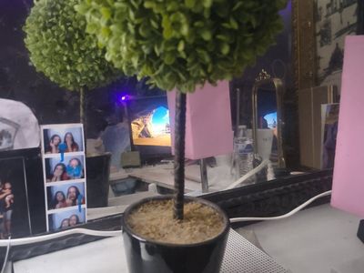 Artificial Topiary Tree in Black Pot - Green Faux Plant Decor
