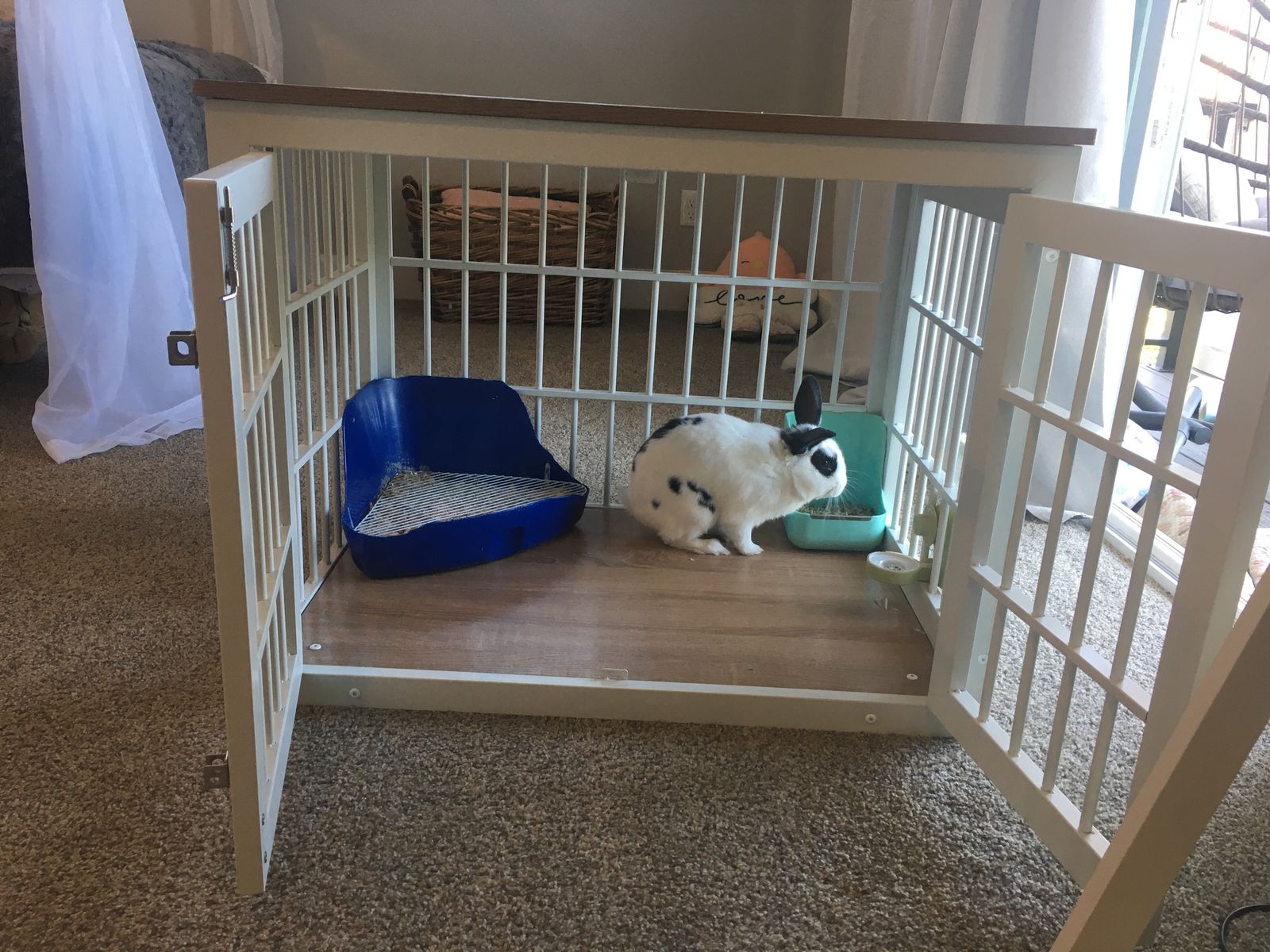 Bunny, Indoor or outdoor cage, poop bin, food holder, water dispenser
