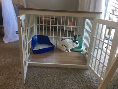 Bunny, Indoor or outdoor cage, poop bin, food holder, water dispenser