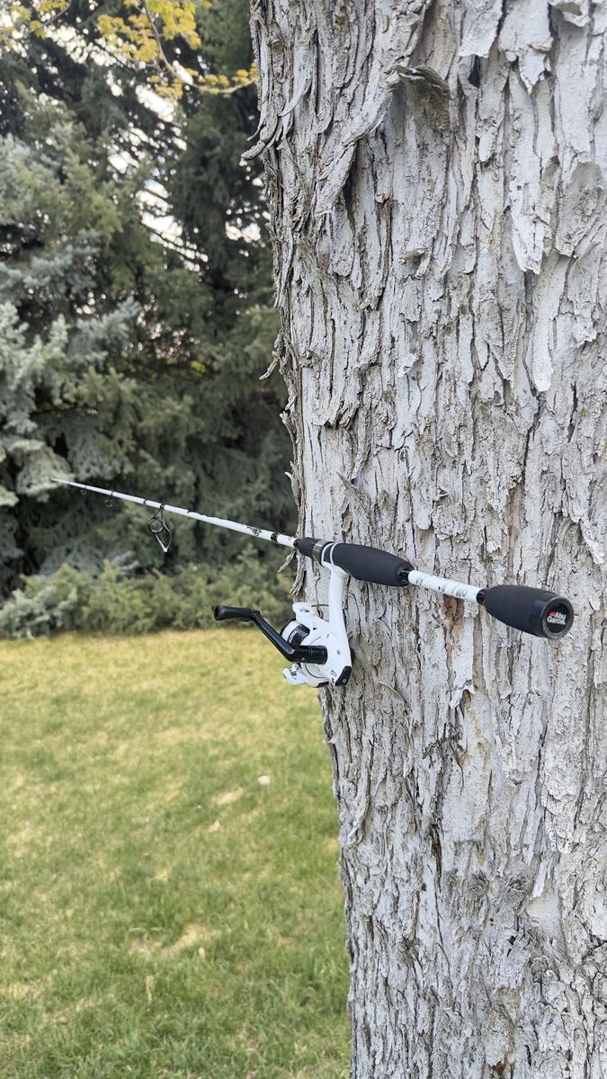Abu Garcia Spinning Combo, 6' Medium