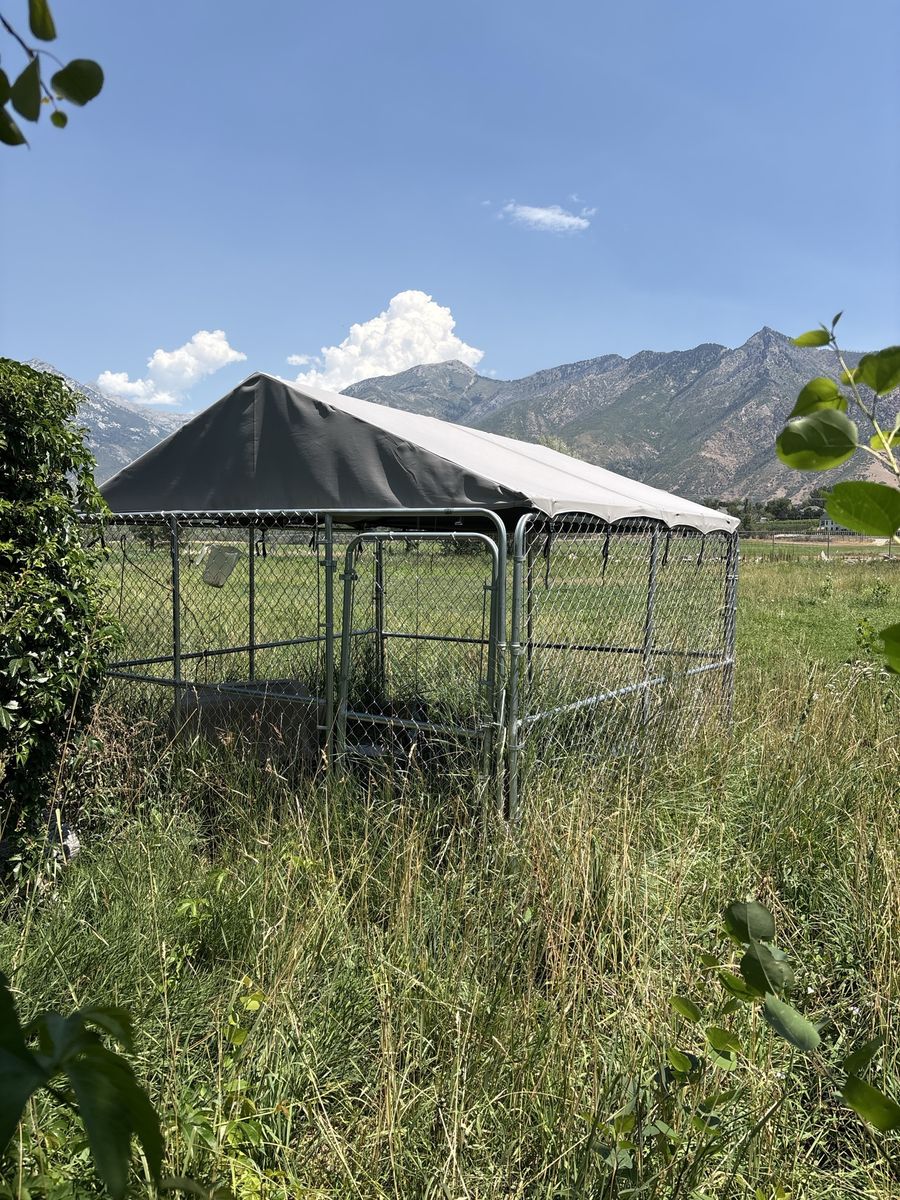 Dog Kennel