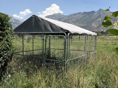 Dog Kennel