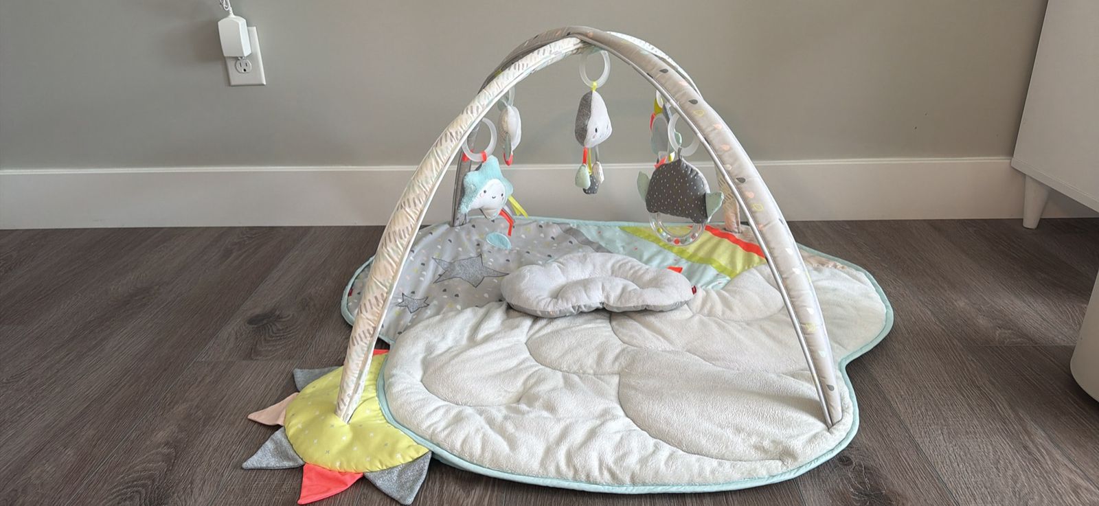 Skip Hop Baby Activity Play Mat with Hanging Toys