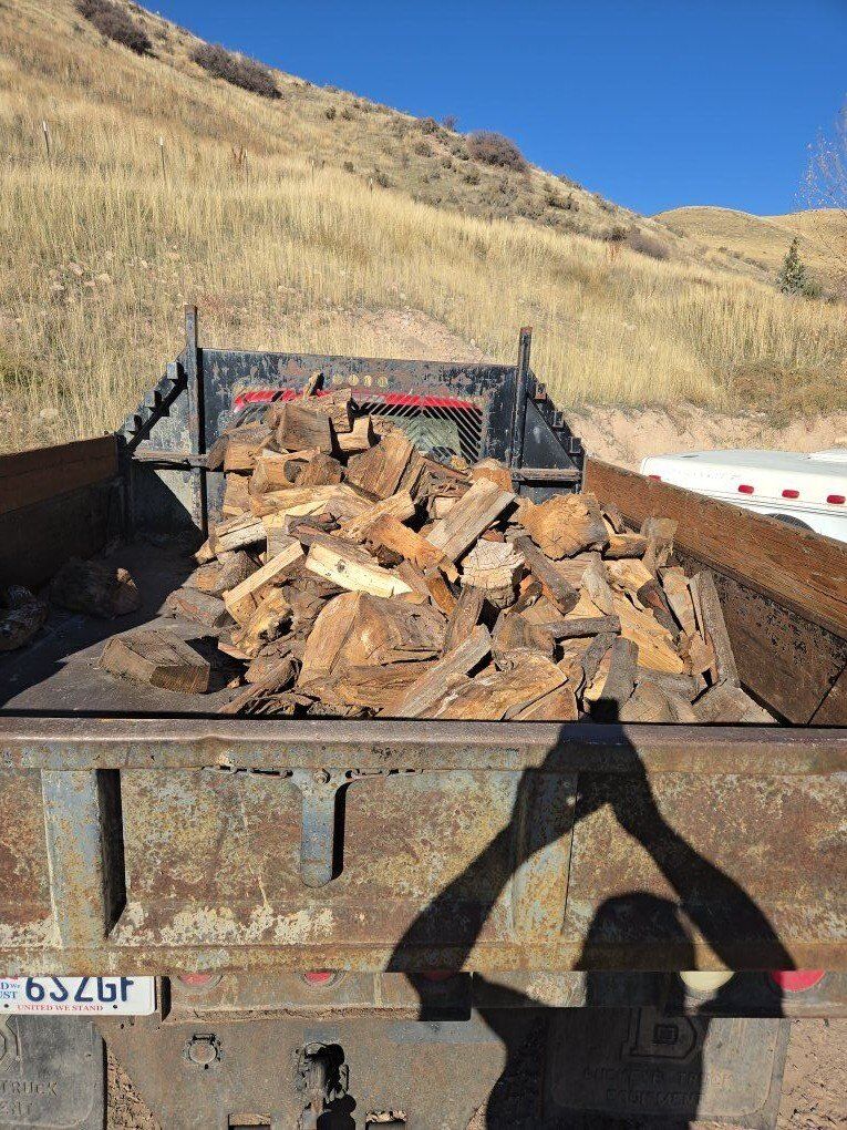 Half cord of split dry firewood