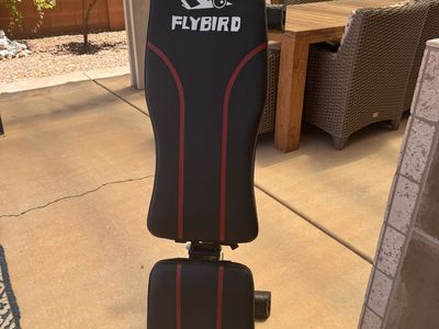 Used Flybird Weight Bench
