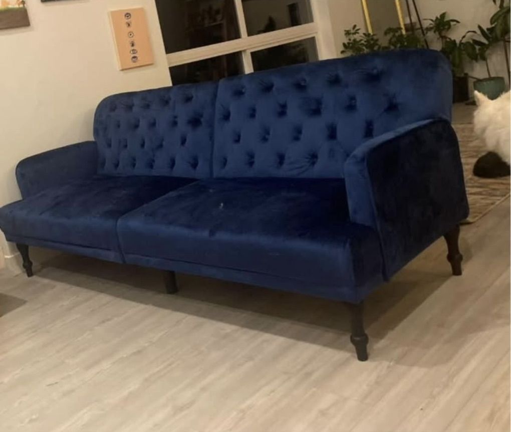 velvet Couch