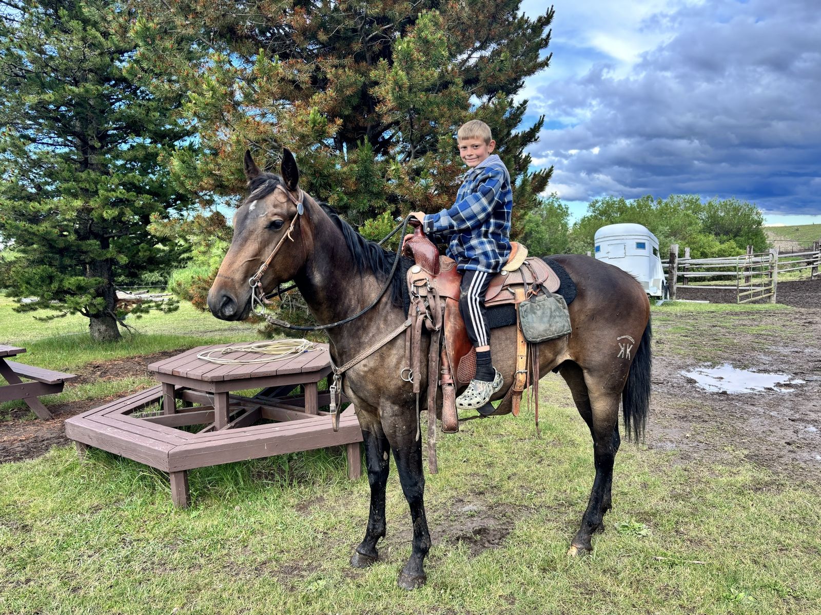 Main image 8