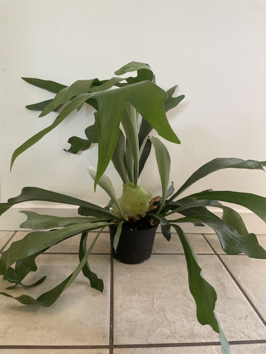 Main image 6