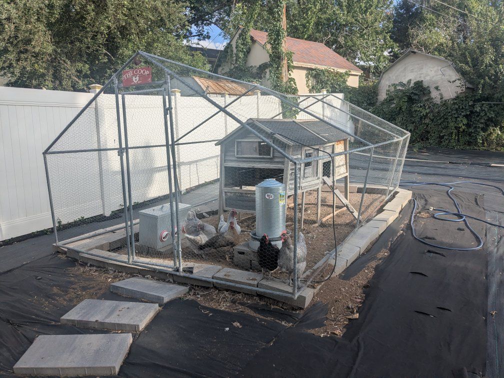 Wooden Chicken Coop with Enclosed Run and Shingle Roof