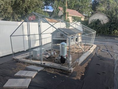 Wooden Chicken Coop with Enclosed Run and Shingle Roof