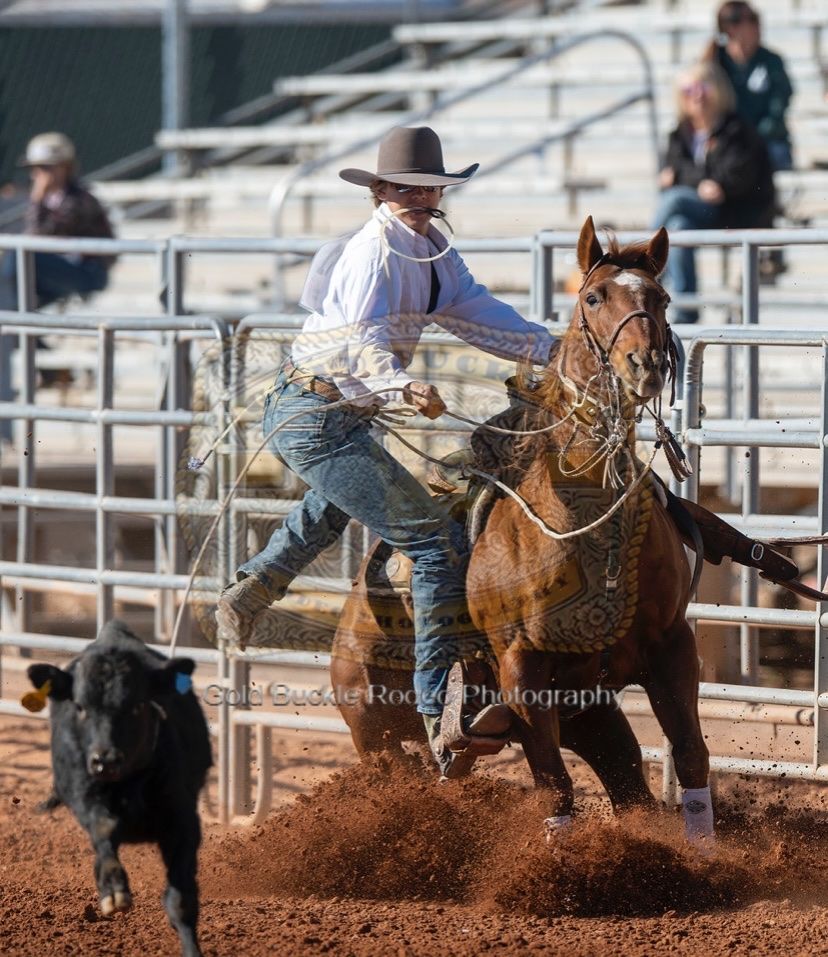 Calf / breakaway rope horse