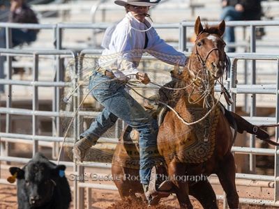Calf / breakaway rope horse