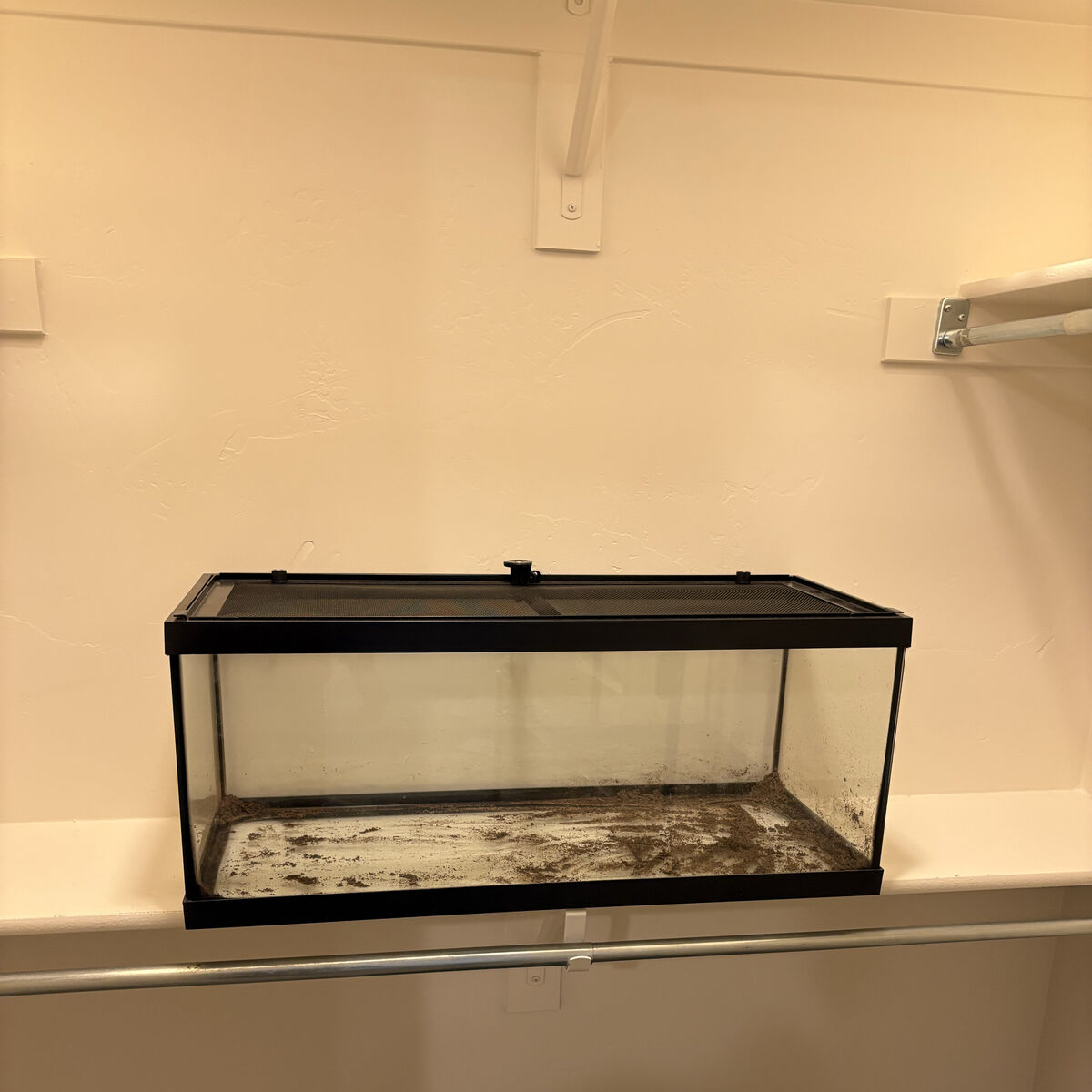 20 Gallon (long) enclosure