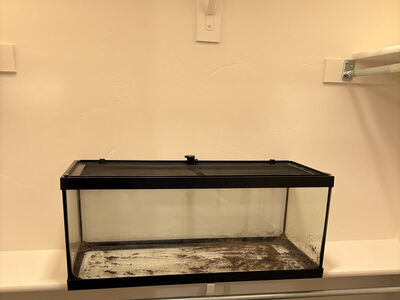 20 Gallon (long) enclosure