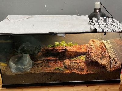 COMPLETE SETUP - SNAKE AND ENCLOSURE