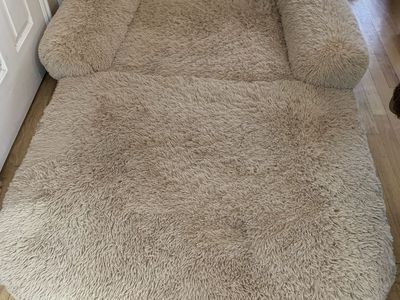 LARGE Human/Pet Dog Chair/Bed