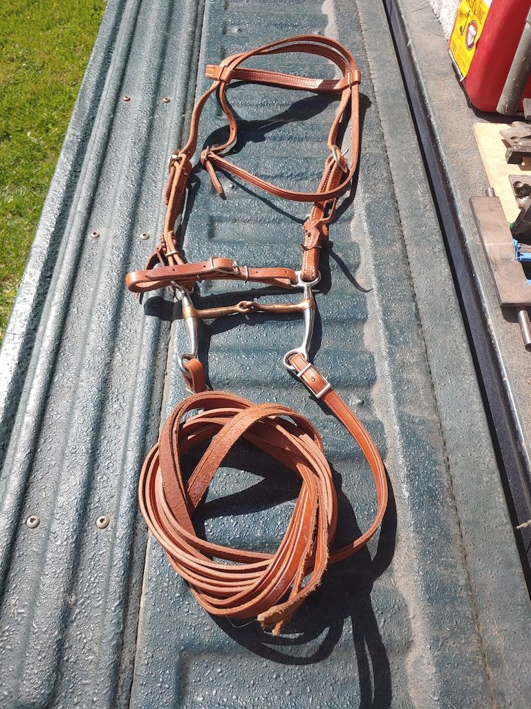 All but New Leather Bridle, Split Reins & Snaffle Bit and Something Else