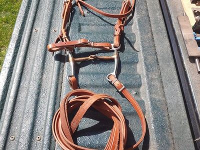 All but New Leather Bridle, Split Reins & Snaffle Bit and Something Else