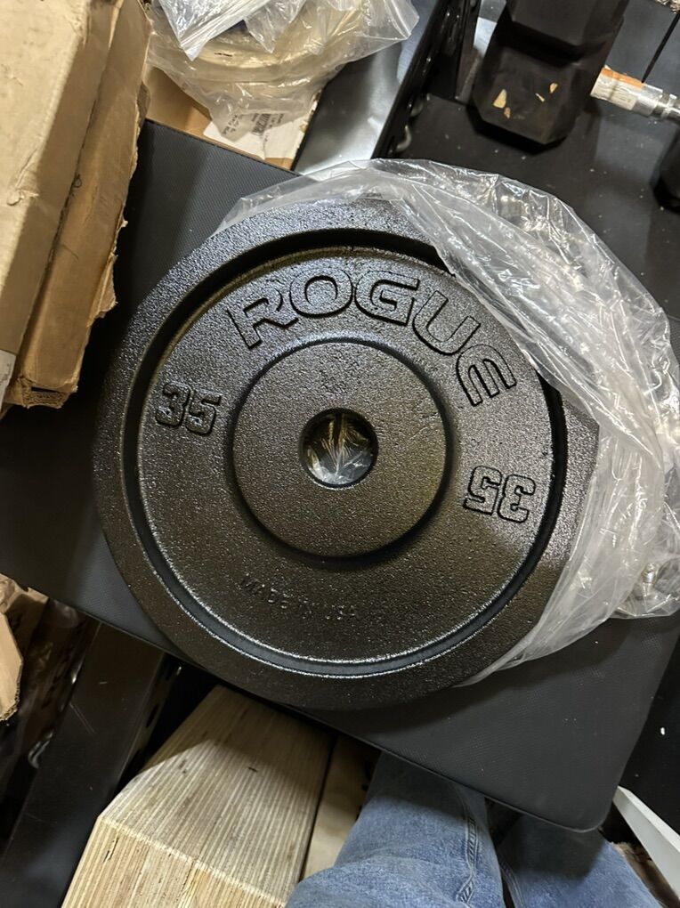 Rogue 35 lb deep dish Plate pair New