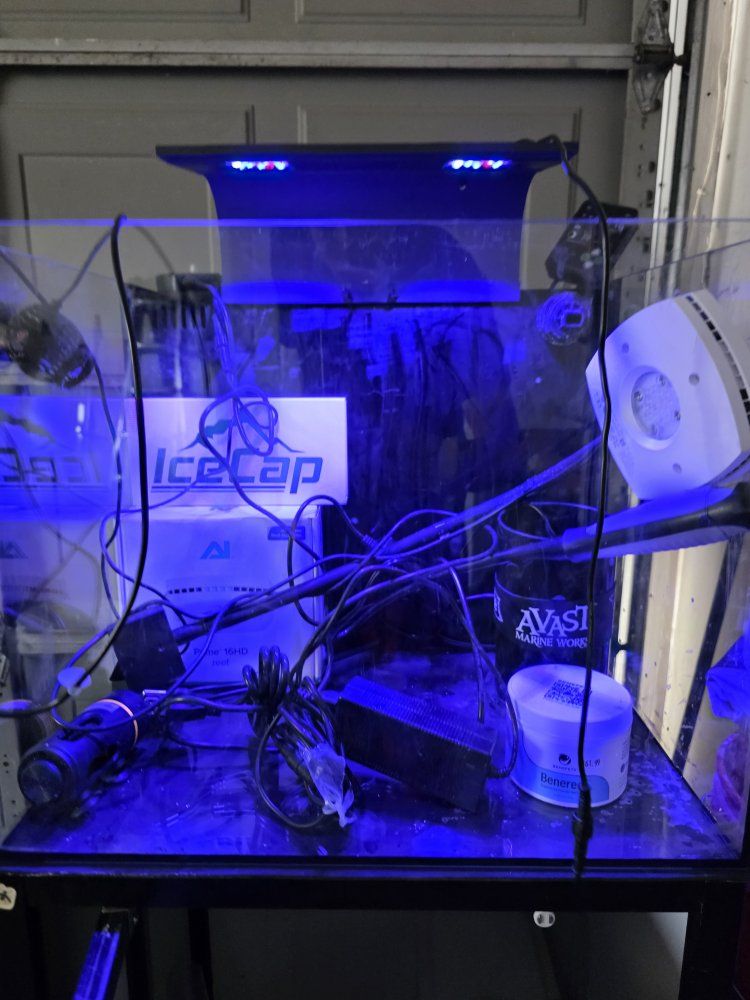 22 gallon sea cardinal