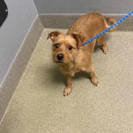 Hello my name is Bart