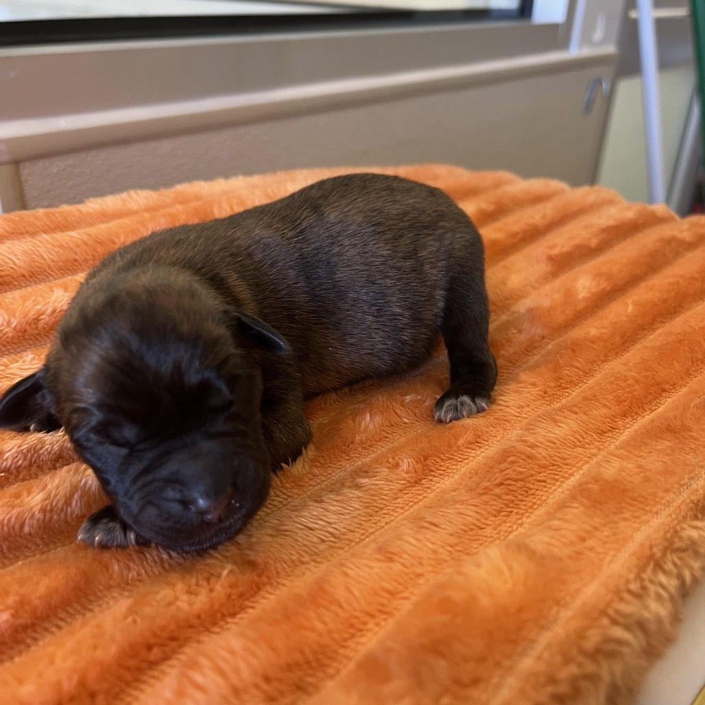 Hello my name is Cosmic Ray