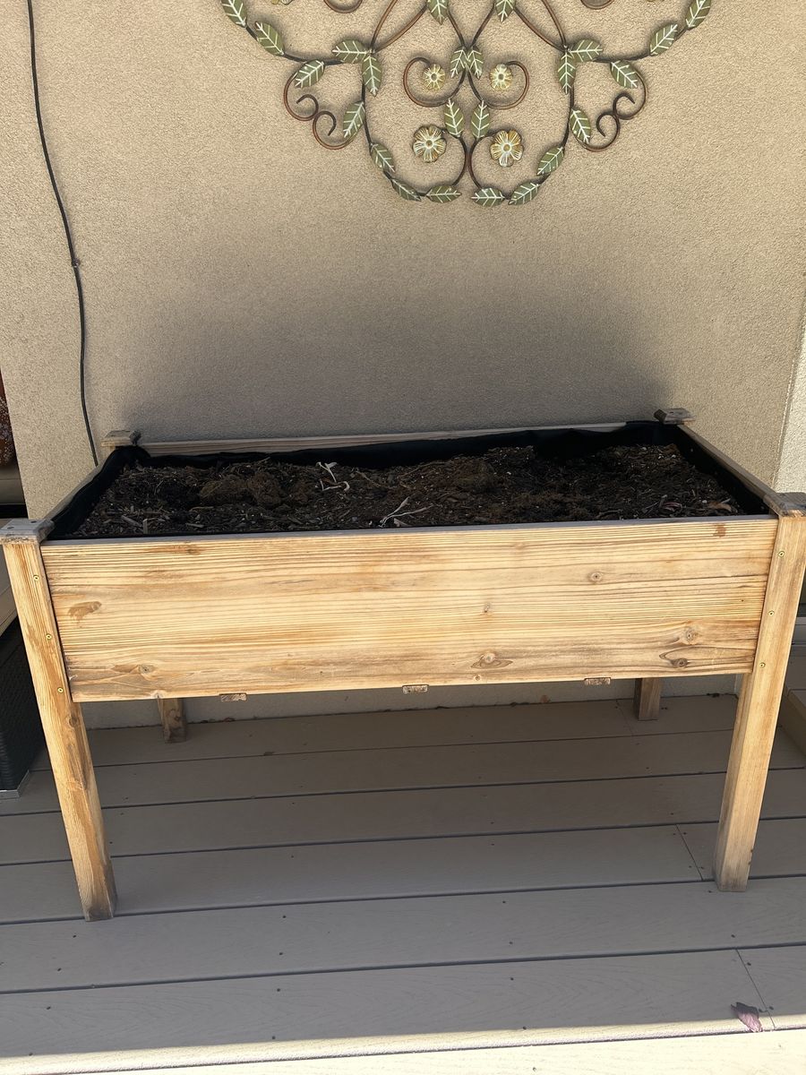 Container Garden