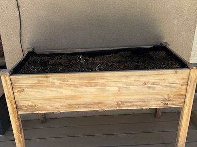 Container Garden