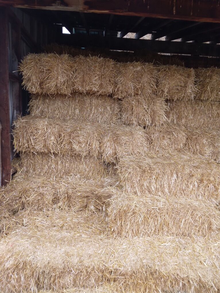 Small Straw Bales