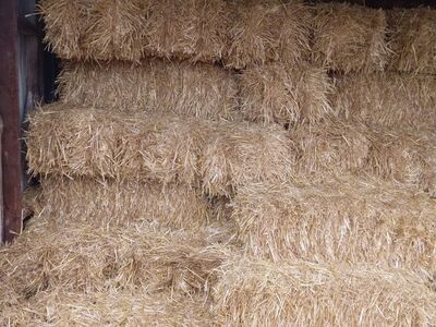 Small Straw Bales