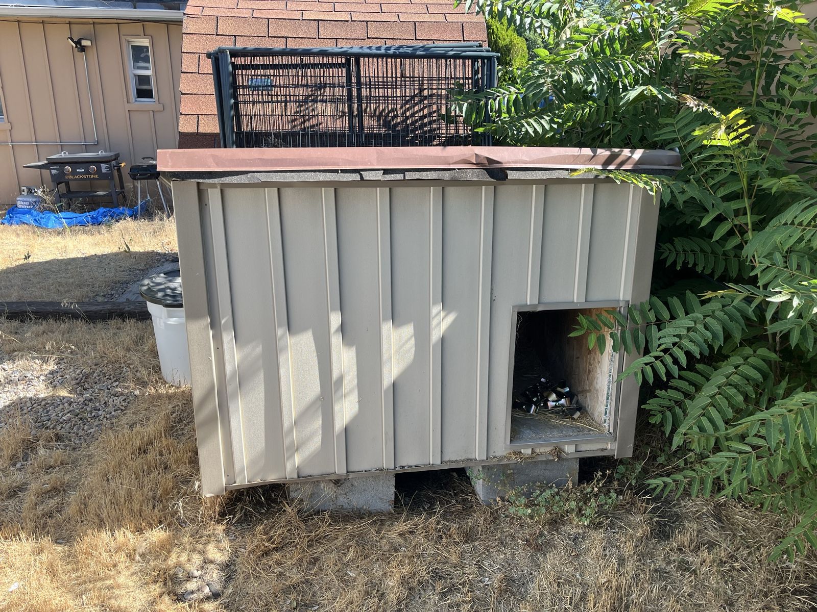 Large Outdoor Insulated Dog House