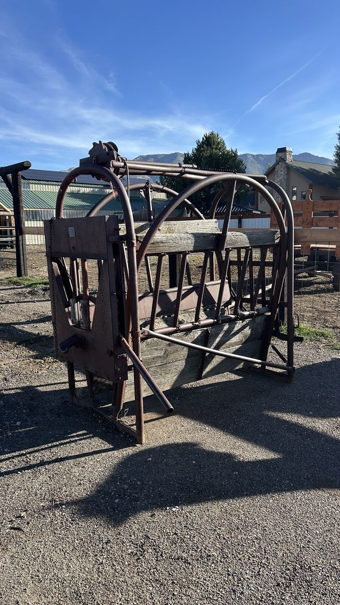 Antique Cattle Squeeze Chute