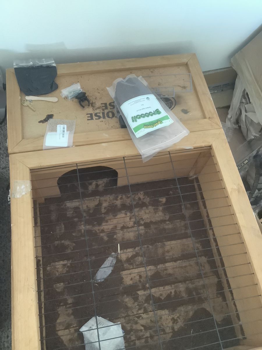 Tortoise House Habitat