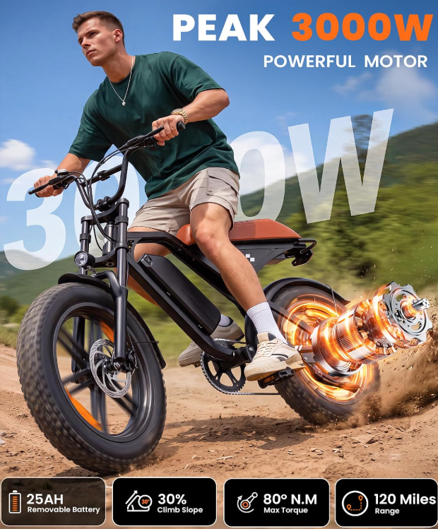 New in box Electric Bike