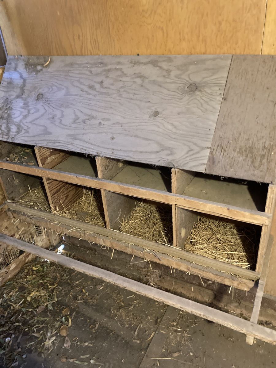 Chicken Nest Box