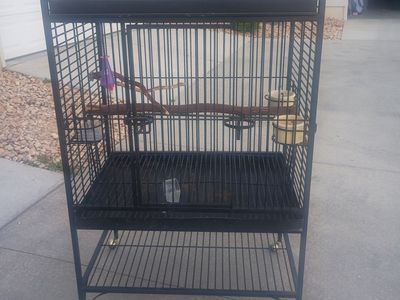 bird cage