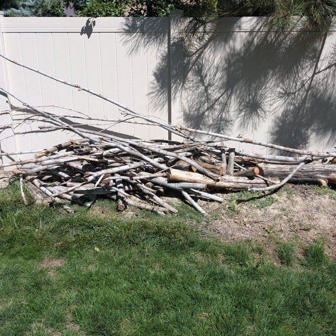 Firewood