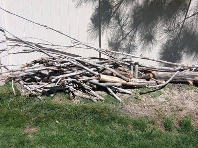 Firewood