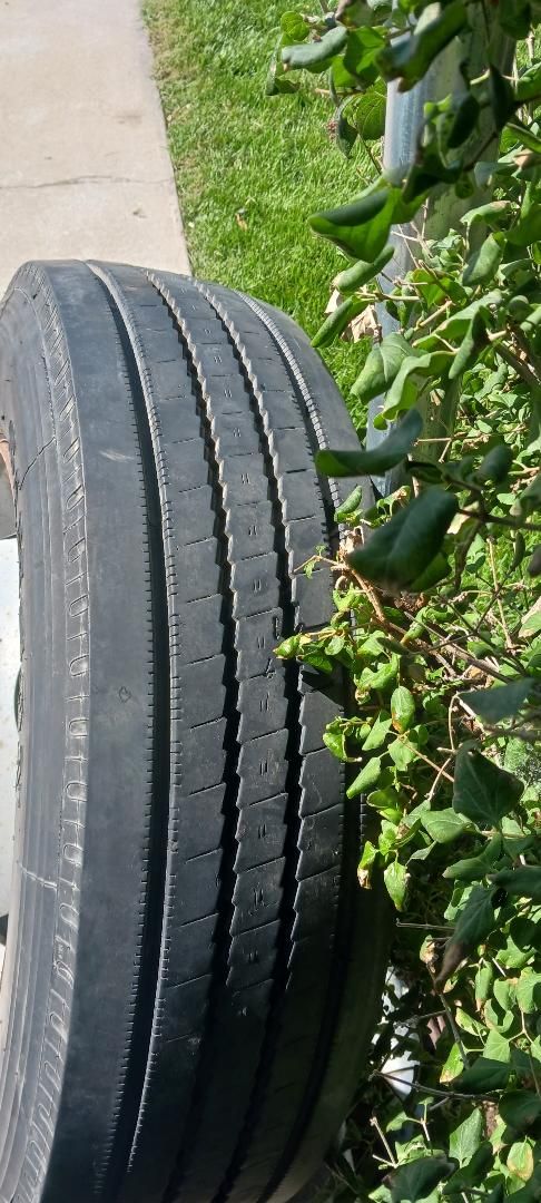 Tire & Wheel