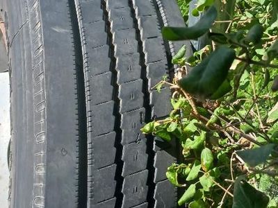 Tire & Wheel