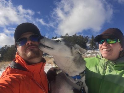 Need to Re-Home a Male & Female Siberian Huskies