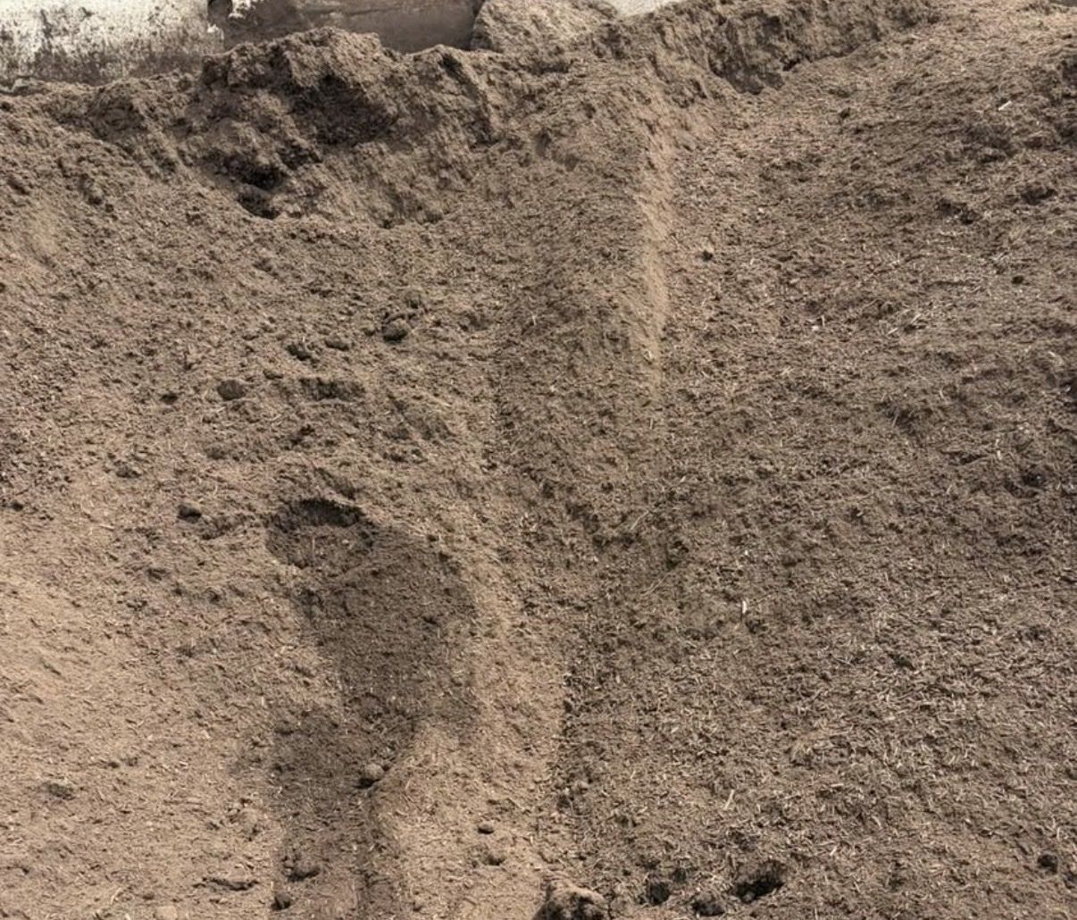 Main image 2