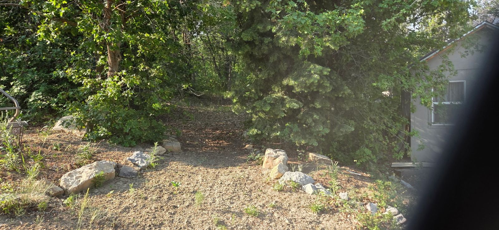 Main image 17