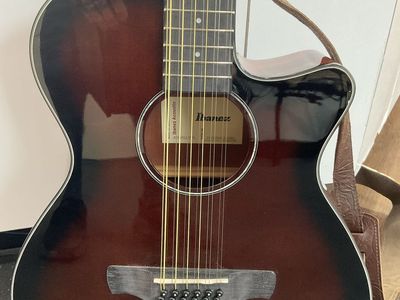Ibanez Guitar AEG5012-DVH E75012116 come with amp.