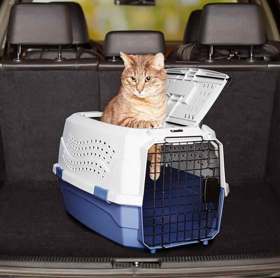 2-Door Top-Load Hard-Sided Dogs, Cats Pet Travel Carrier, Gray & Blue, 22.8"L x 15.0"W x 13.0"H