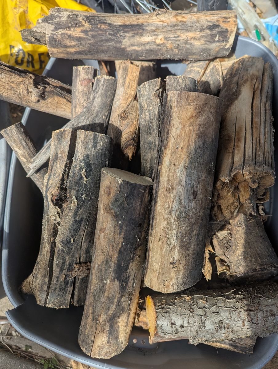 Firewood
