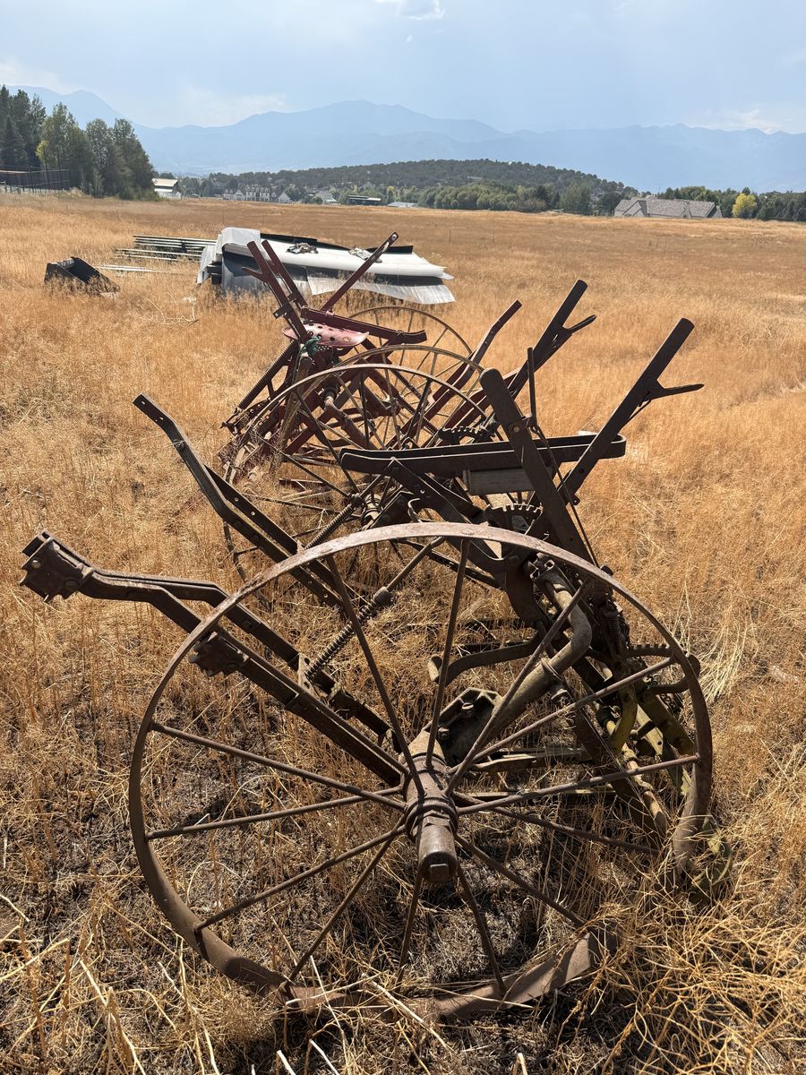 Antique Horse-Drawn Walking Cultivator / One Horse Plow